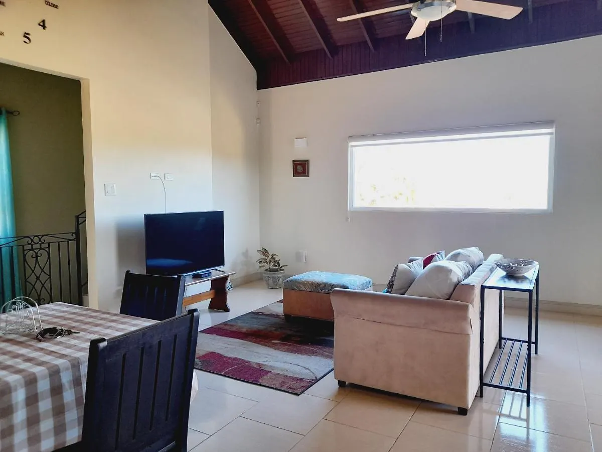 Ultimate Chill Montego Bay Apartment
